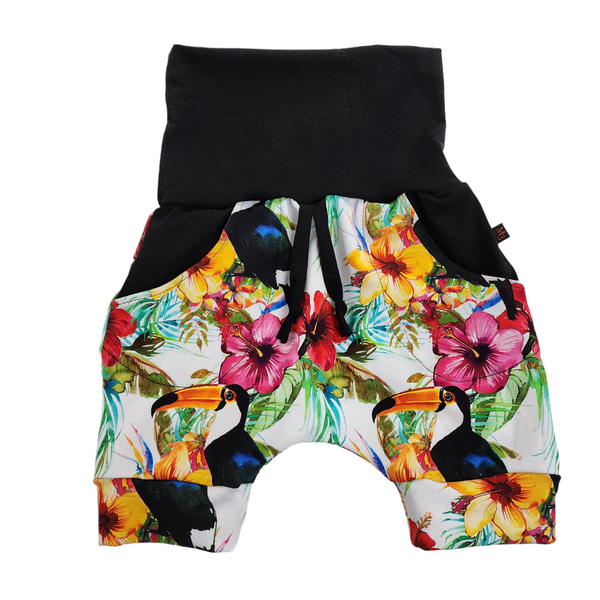 Short toucan