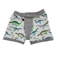 Boxer 4 ans dino aquarelle (gris pale)