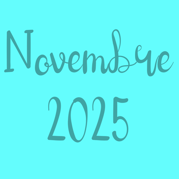 Bobette adulte ''scrappy'' mystère Novembre 2025