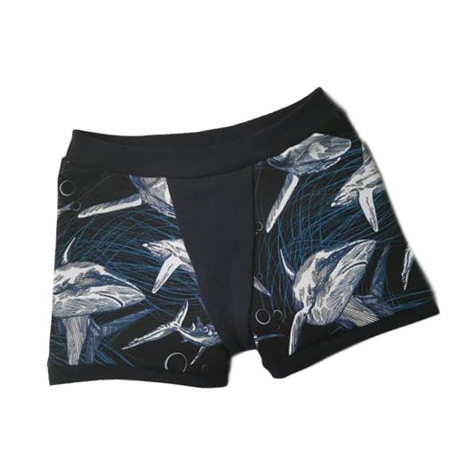 Boxer 4 ans requin