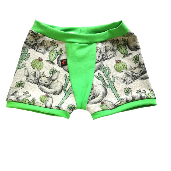 Boxer 7 ans cactus