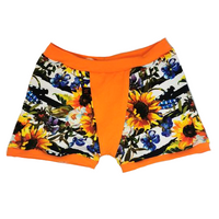 Boxer 7 ans tournesol