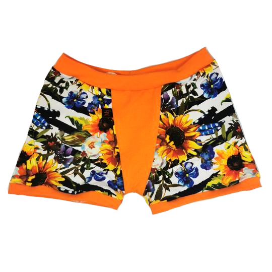 Boxer 7 ans tournesol